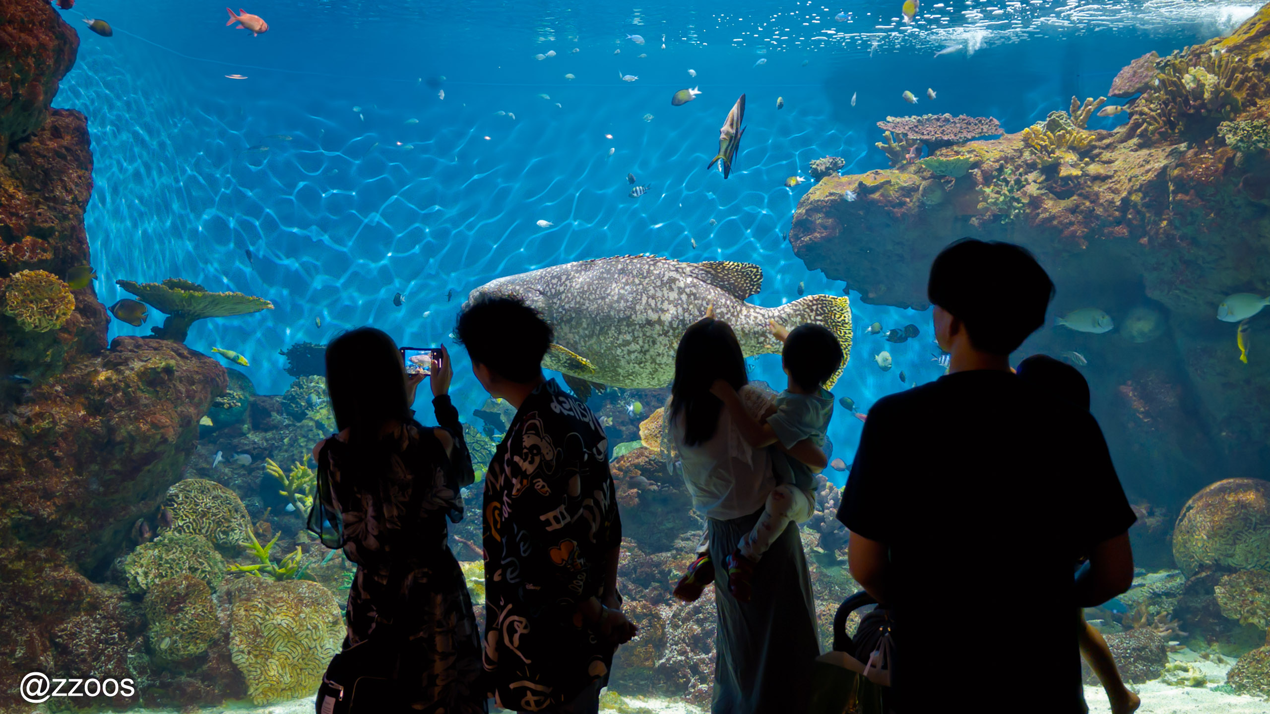 Kagoshima Aquarium