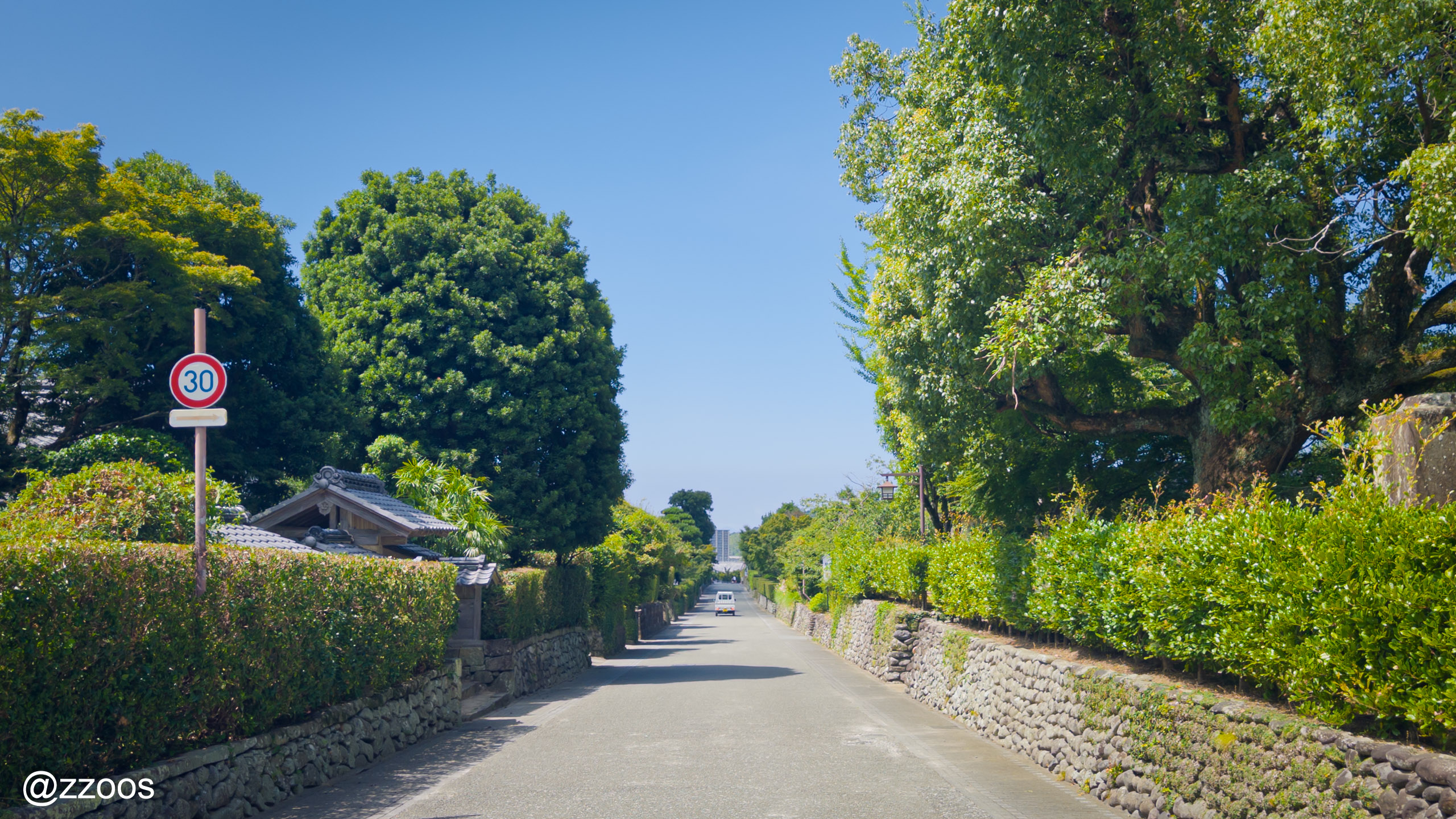 出水麓武家屋敷群の石垣と生い茂る木々