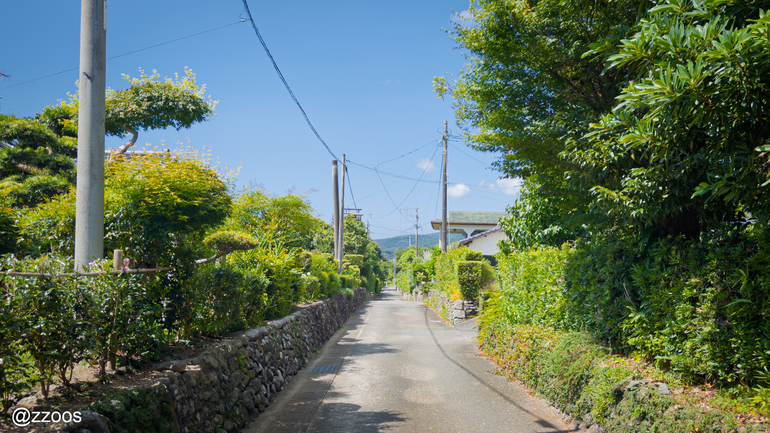 晴れたそらとみどりの木々がみえる出水麓の路地