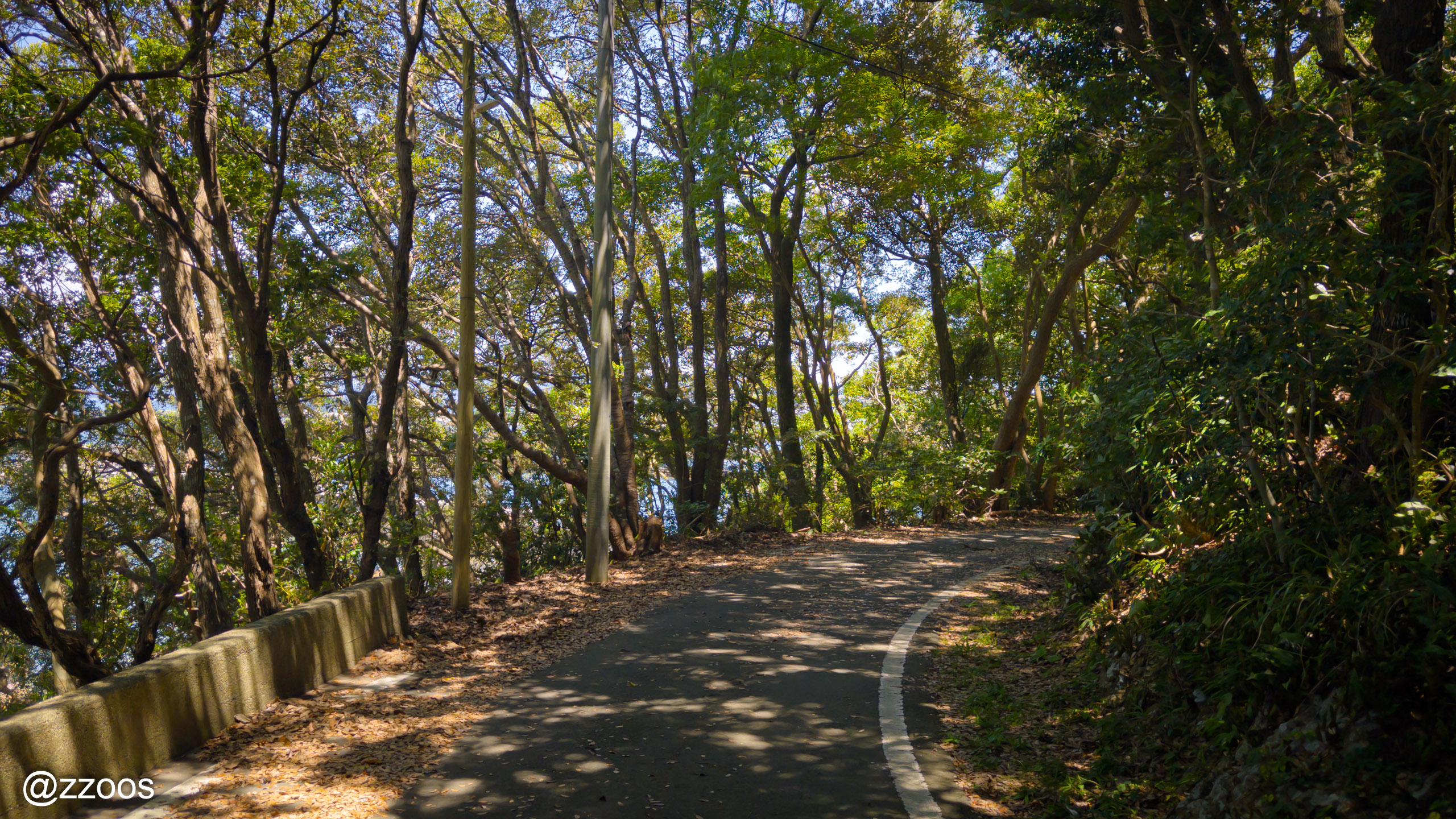 Shaded forest path in Tobashira Natural Park