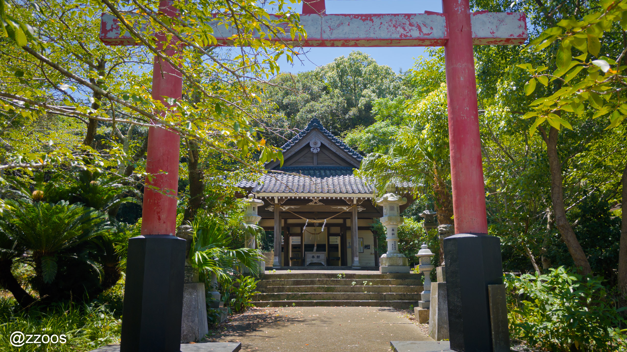 Small shrine in Tobashira Natural Park surrounded by sago palms and dense trees