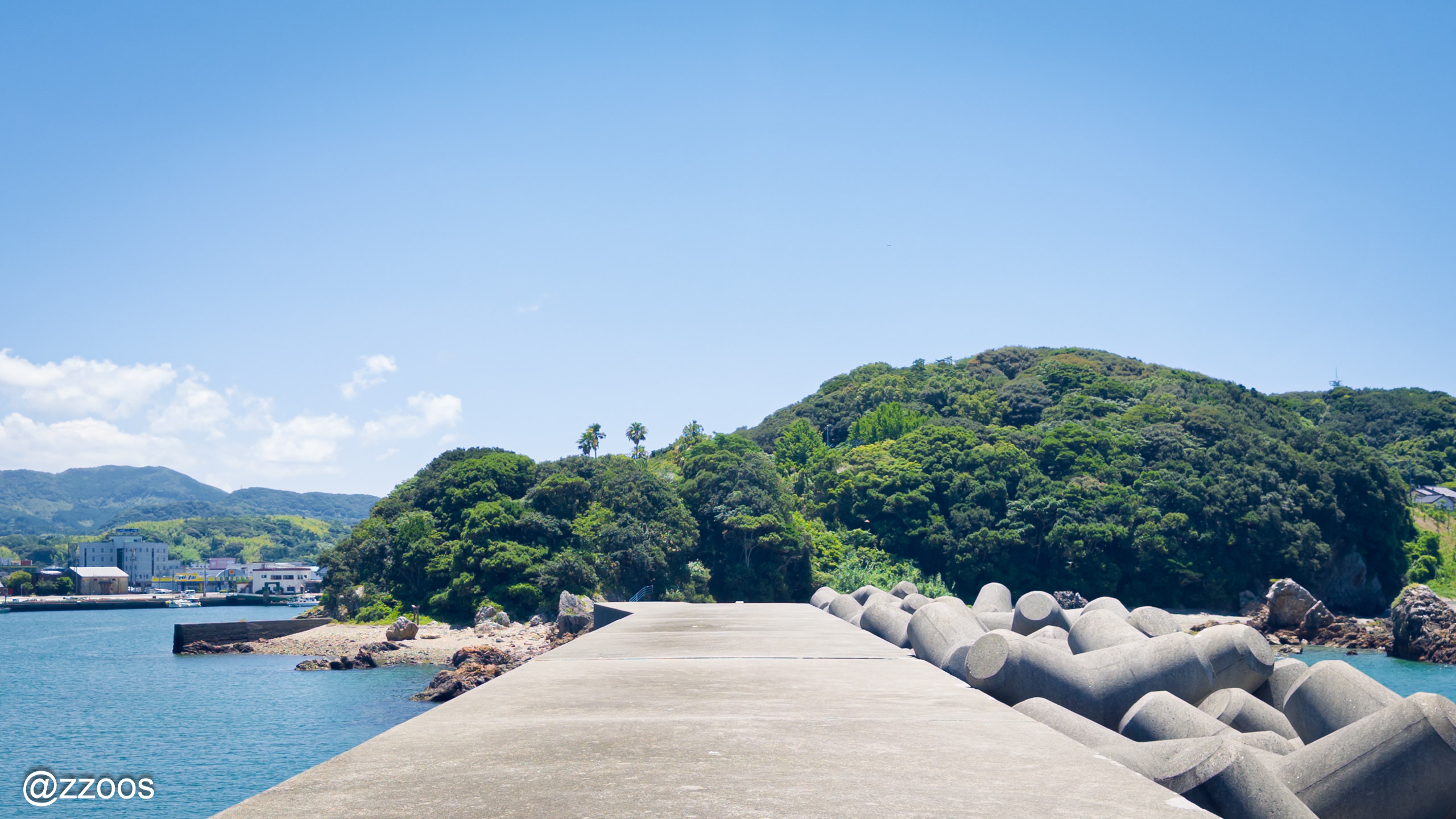 The dense woods of Tobashira Natural Park seen from the breakwater