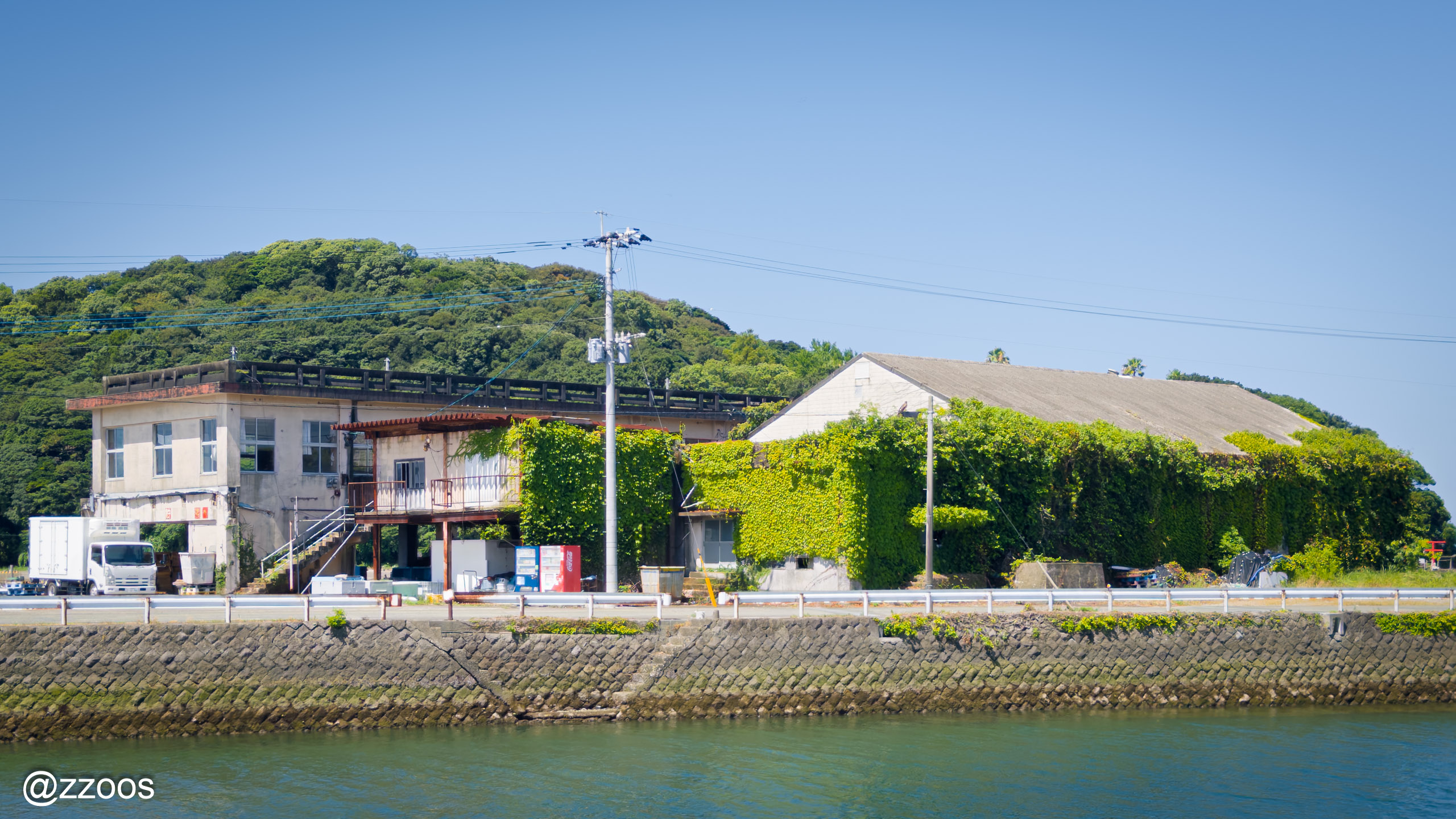 つたにおおわれた川向こうの建物