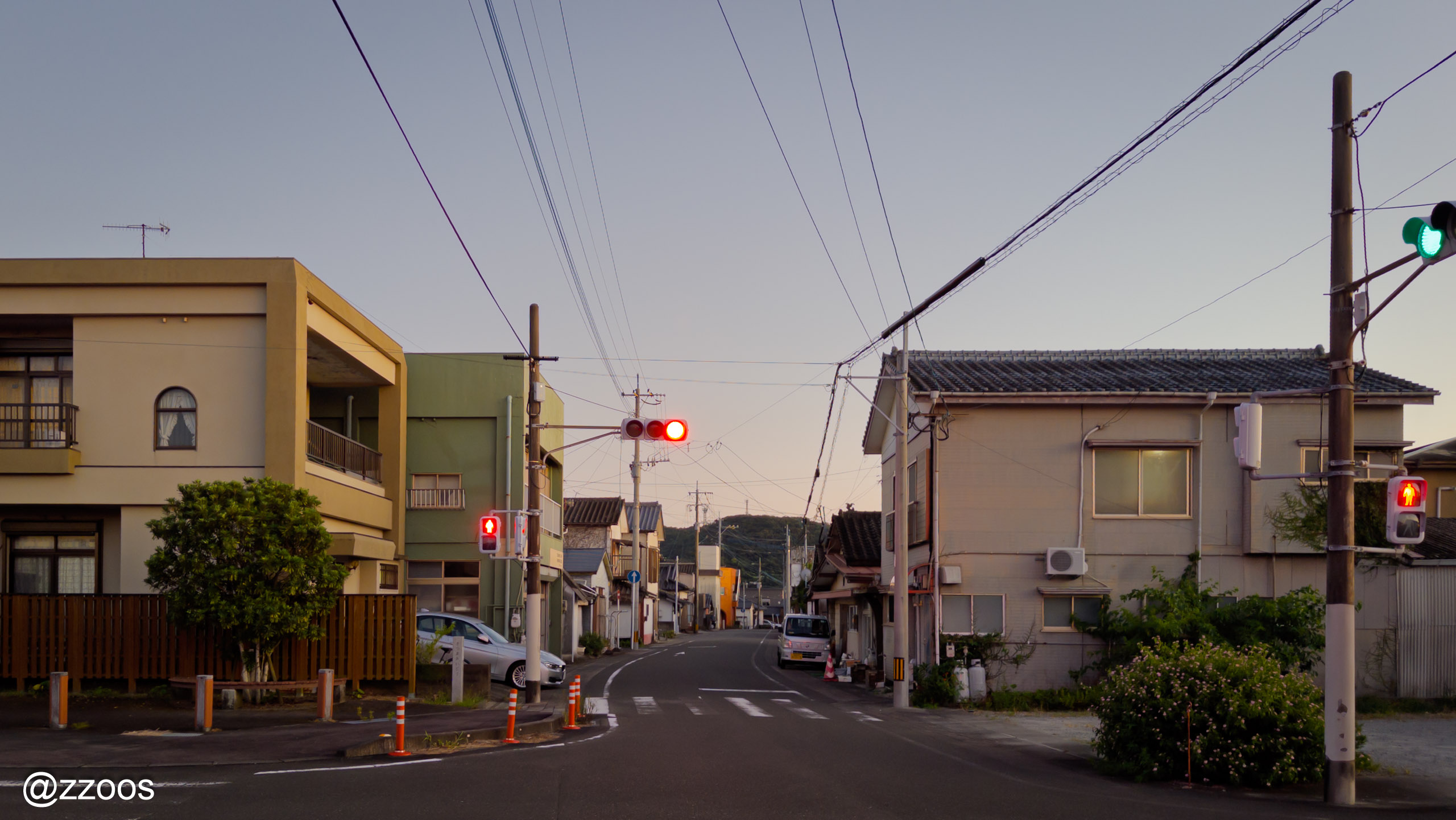 阿久根の街で出あったねこ