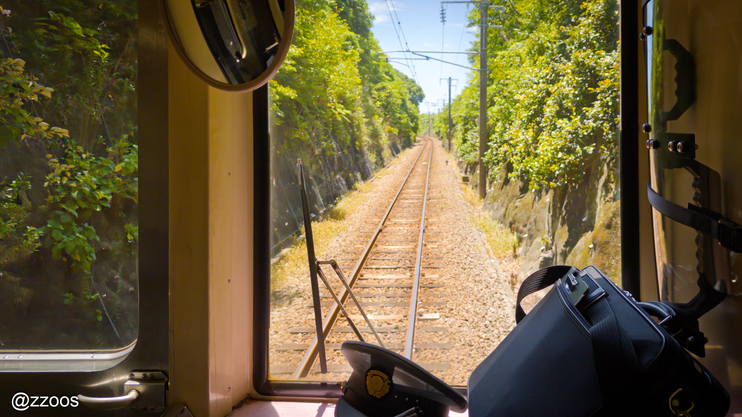Hisatsu Orange Railway train running through dense woods