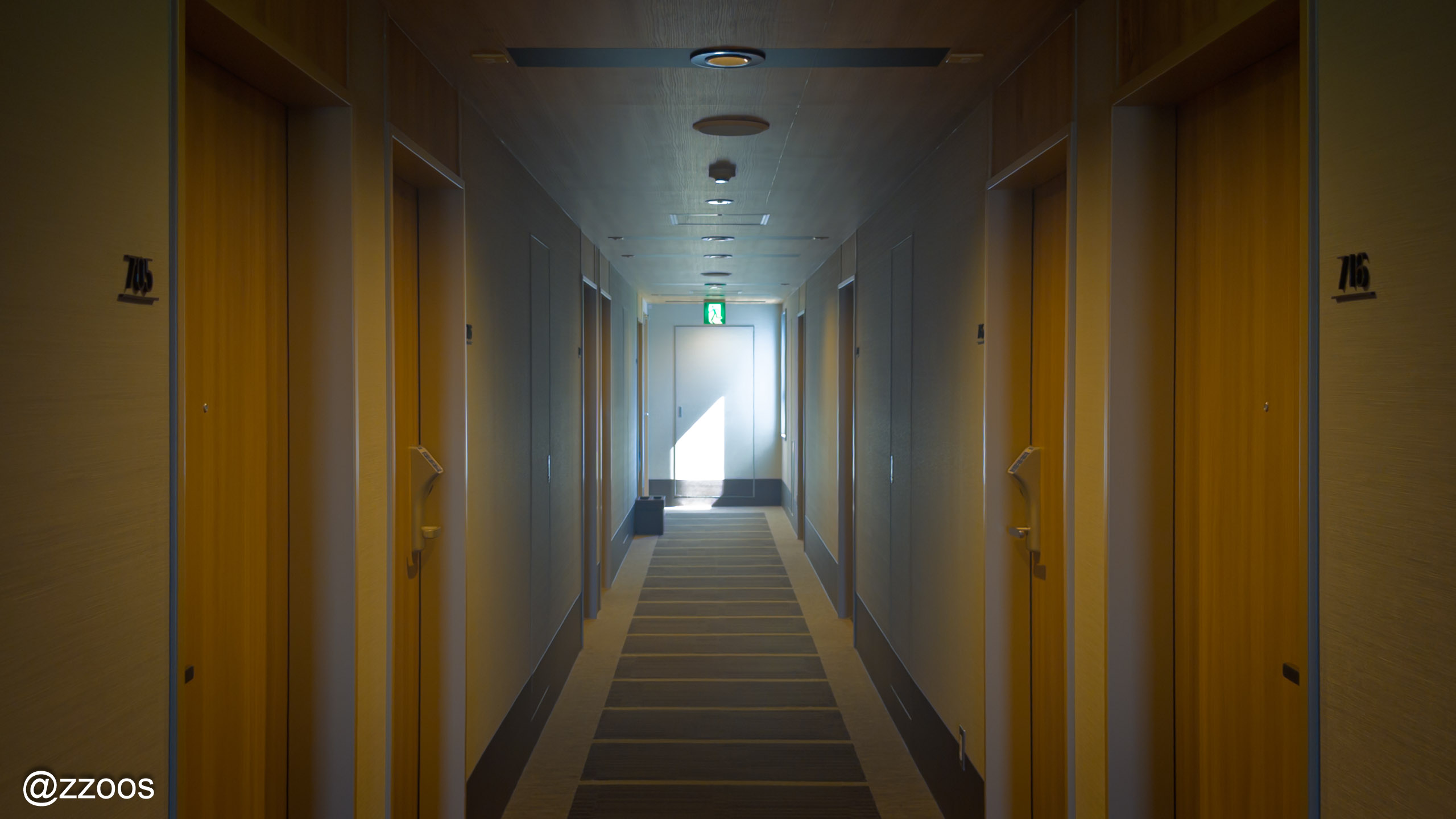 A guest room hallway at Super Hotel Satsumasendai