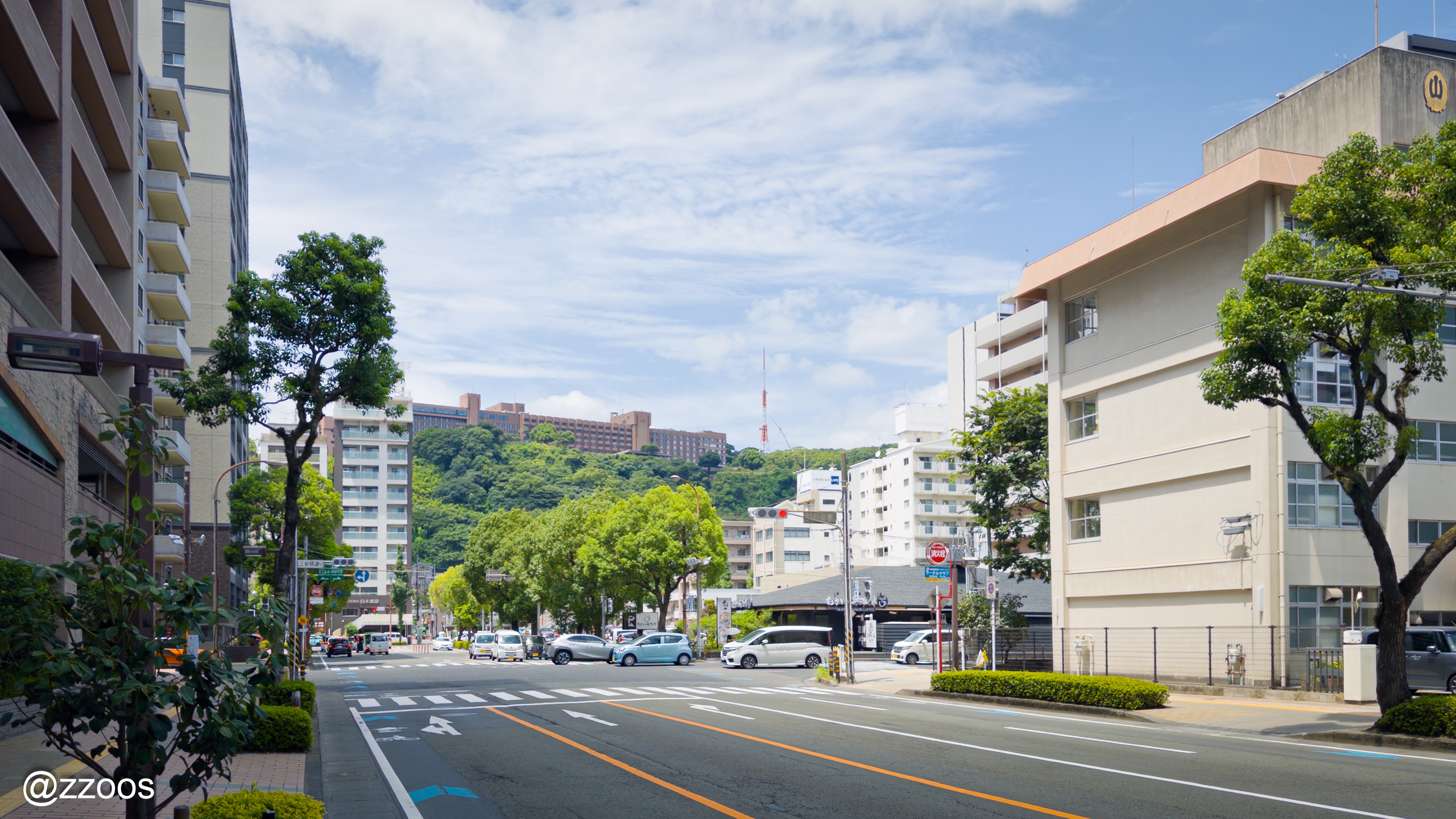 山の上の城山ホテルが見える鹿児島の風景