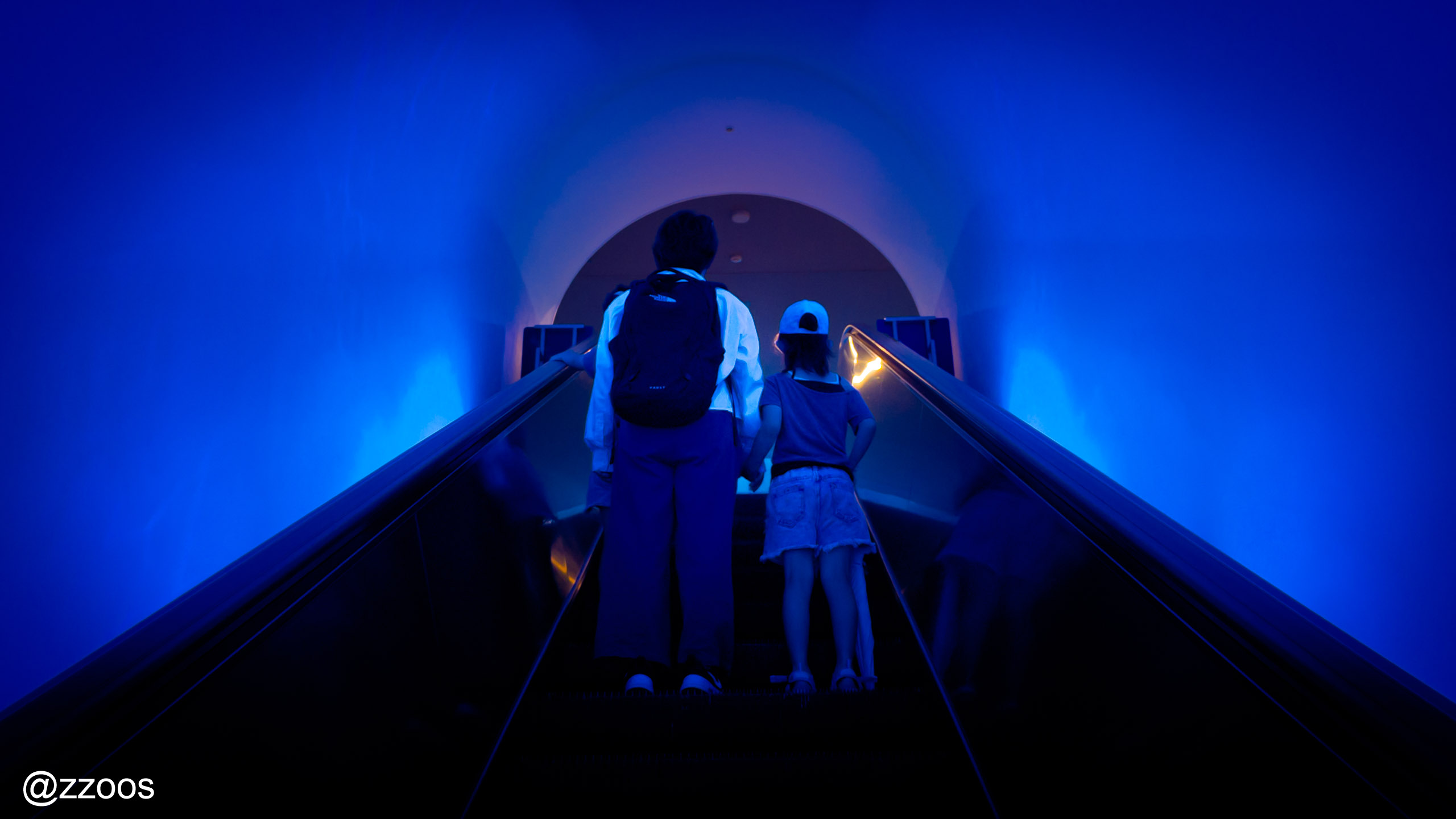 Escalator where the viewing route of Kagoshima City Aquarium begins