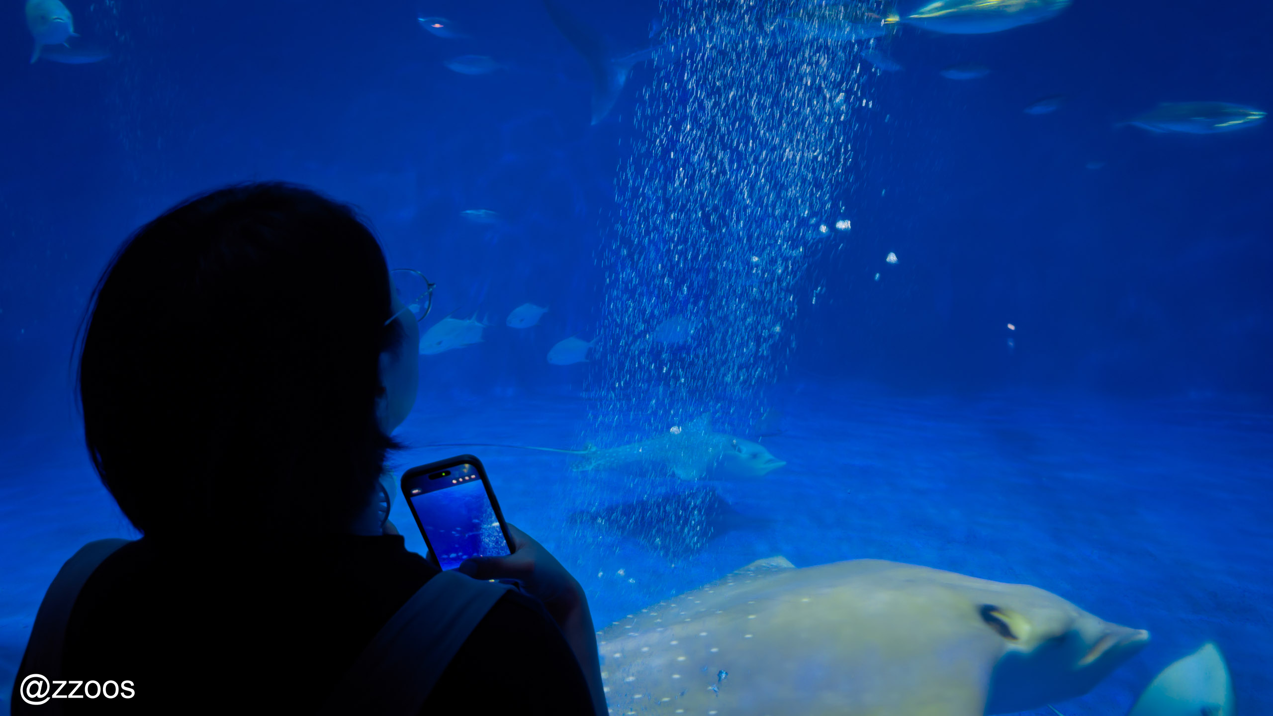Visitors watching fish in front of the Kuroshio tank