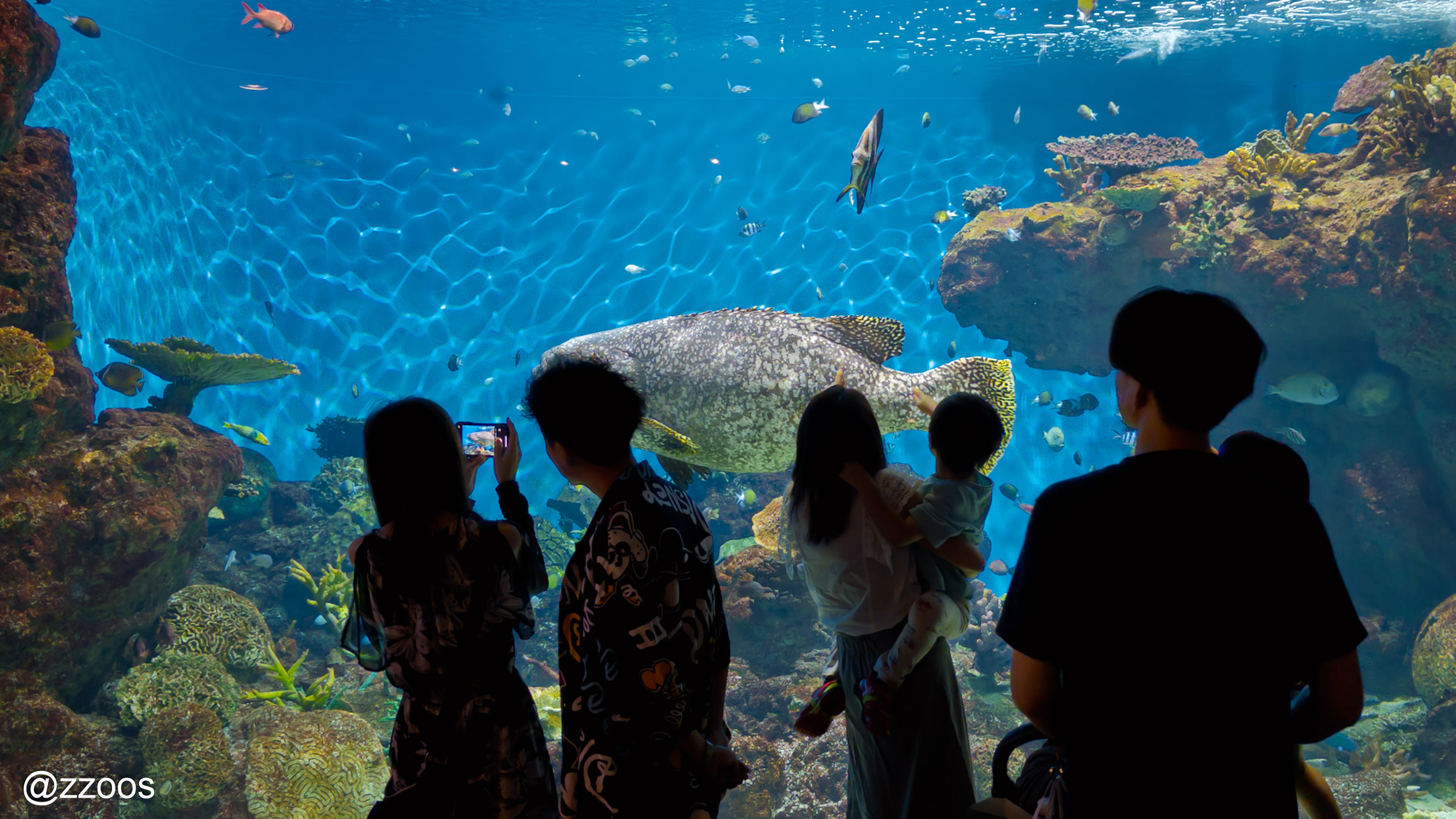 Families and couples in front of a tank at Kagoshima City Aquarium