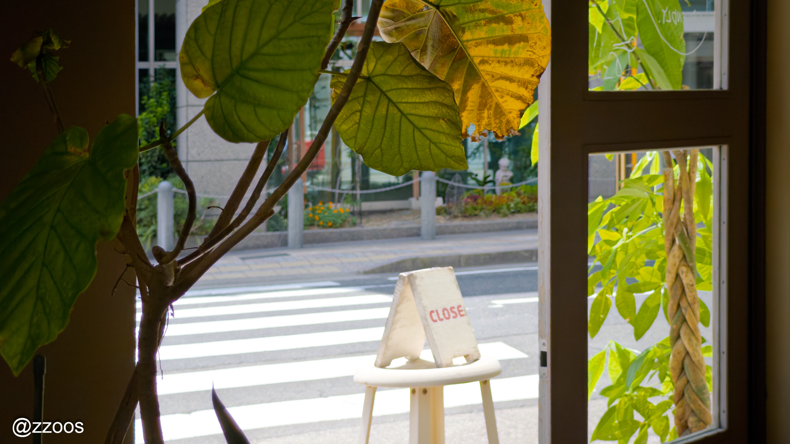 真夏の午後のCOMMON COFFEE COUNTERの店内