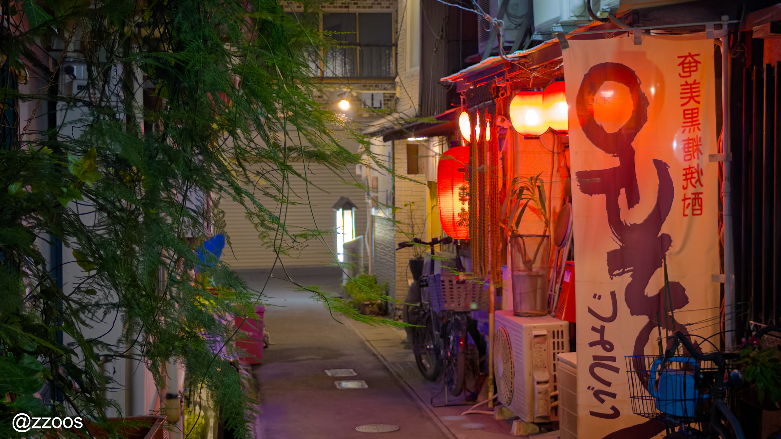 Meizanbori alley at night