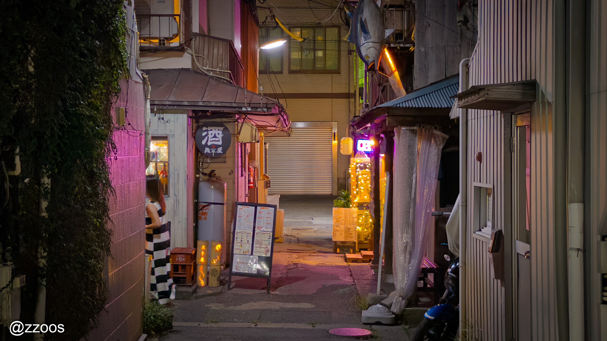 Meizanbori alley at night