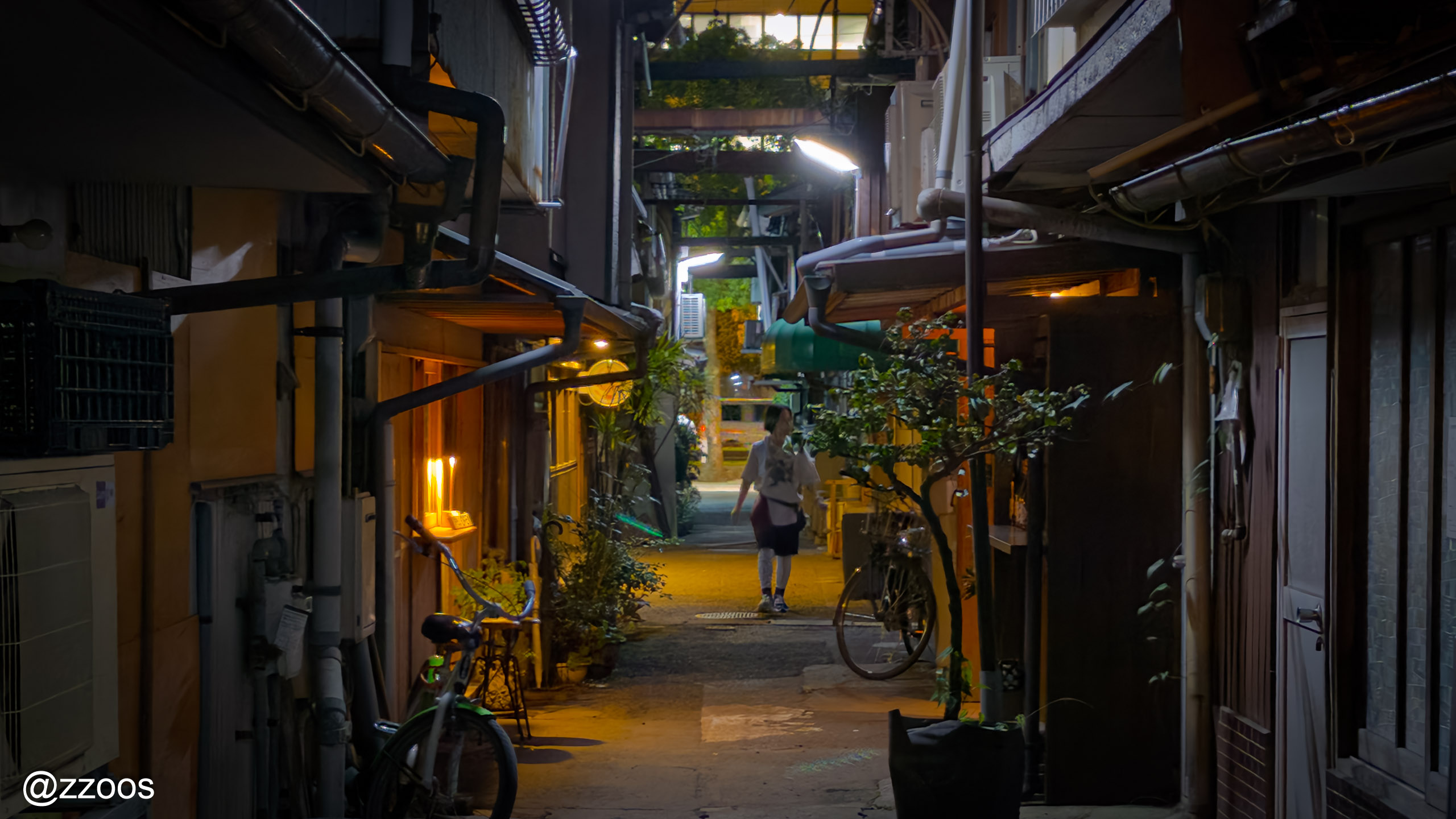 Meizanbori alley at night